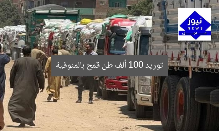 توريد 100 ألف طن قمح بالمنوفية