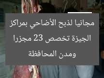 الجيزة تخصص 23 مجزرا مجانيا لذبح الأضاحي بمراكز ومدن المحافظة