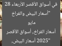 “أسعار البيض والفراخ في أسواق الأقصر الأربعاء 28 مايو 2025”
أسعار البيض, أسعار الفراخ, أسواق الأقصر