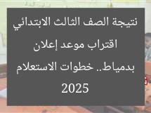 اقتراب موعد إعلان نتيجة الصف الثالث الابتدائي 2025 بدمياط.. خطوات الاستعلام