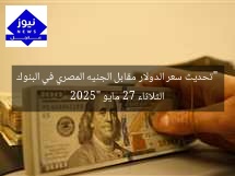 “تحديث سعر الدولار مقابل الجنيه المصري في البنوك الثلاثاء 27 مايو 2025”