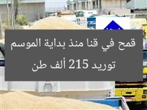 توريد 215 ألف طن قمح في قنا منذ بداية الموسم