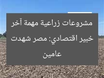 خبير اقتصادي: مصر شهدت مشروعات زراعية مهمة آخر عامين
