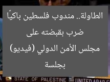ضرب بقبضته على الطاولة.. مندوب فلسطين باكيًا بجلسة مجلس الأمن الدولي (فيديو)
