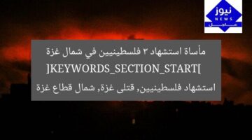 مأساة استشهاد 3 فلسطينيين في شمال غزة  
[KEYWORDS_SECTION_START]  
استشهاد فلسطينيين, قتلى غزة, شمال قطاع غزة