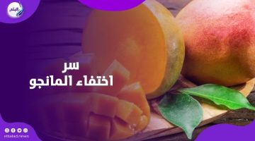 “المانجا راحت فين؟… تصدير المحصول واستيراد العصير بعدد خيالي”