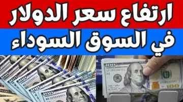 سعر الدولار أمام الجنيه المصري في السوق السوداء اليوم يشهد استقرارًا ملحوظًا