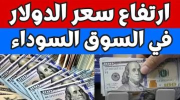 بكام النهارده.. سعر صرف الدولار مقابل الجنيه المصري اليوم في البنوك والسوق السوداء تحديث 13 مايو 2025