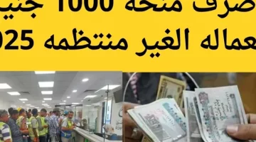 احصل على منحة العمالة غير المنتظمة 1500 جنيه: دليل شامل 2025