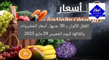الفلفل الألوان بـ 30 جنيها.. أسعار الخضروات والفاكهة اليوم الخميس 29 مايو 2025