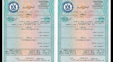 استلم شهادة ميلاد طفلك الرقمية بسهولة: للأسر الحاضنة