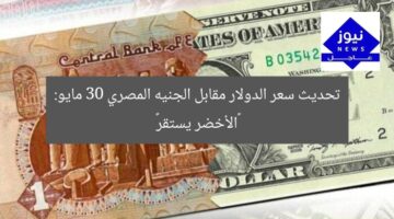 تحديث سعر الدولار مقابل الجنيه المصري 30 مايو: «الأخضر يستقر»