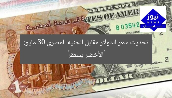 تحديث سعر الدولار مقابل الجنيه المصري 30 مايو: «الأخضر يستقر»