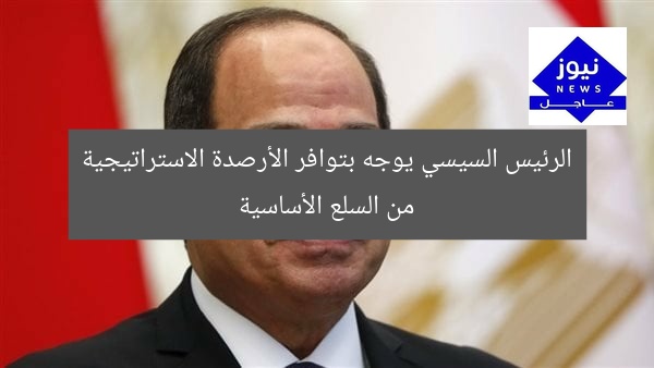 الرئيس السيسي يوجه بتوافر الأرصدة الاستراتيجية من السلع الأساسية