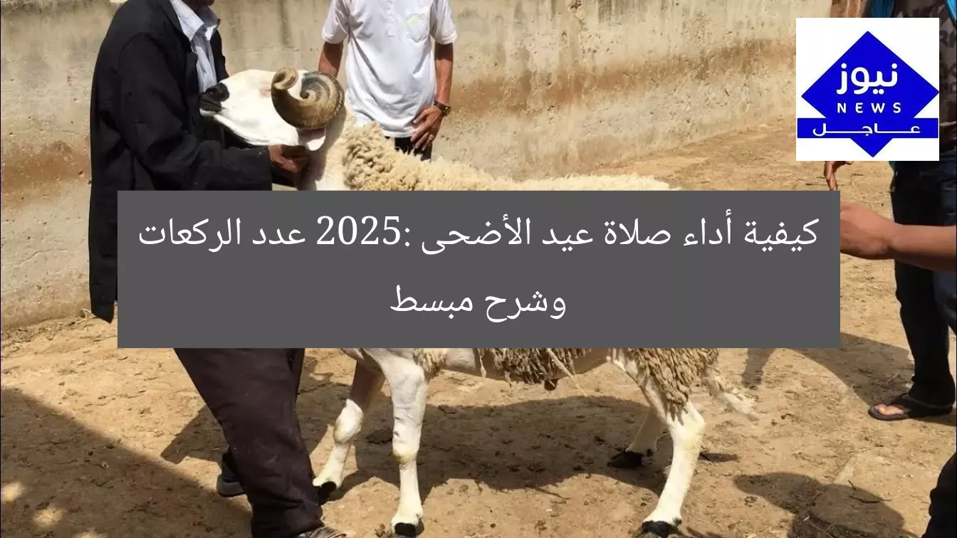 [العنوان المعاد صياغته]  
تعليمات صلاة عيد الأضحى 2025: عدد الركعات وشرح مبسط  

[KEYWORDS_SECTION_START]  
صلاة عيد الأضحى, عدد الركعات في صلاة الأضحى, تعليمات الصلاة 2025