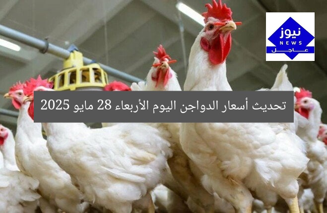 تحديث أسعار الدواجن اليوم الأربعاء 28 مايو 2025