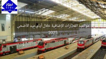 مواعيد القطارات الإضافية خلال أيام عيد الأضحى 2025