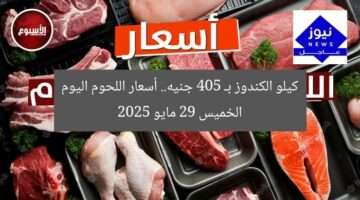 كيلو الكندوز بـ 405 جنيه.. أسعار اللحوم اليوم الخميس 29 مايو 2025