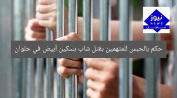 حكم بالحبس للمتهمين بقتل شاب بسكين أبيض في حلوان