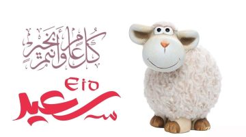 المكبرات شغالة والعيد قرب يا كويت.. كل تفاصيل صلاة واحتفالات عيد الأضحى 2025