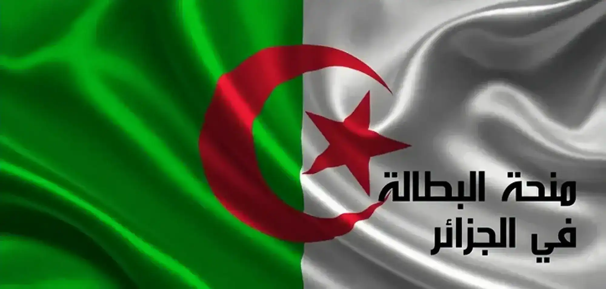 منحة البطالة 2025 بالجزائر: فلوس فورية وطوق نجاة للعاطلين