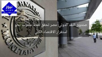 صندوق النقد الدولي: مصر تحقق تقدماً ملموساً نحو استقرار الاقتصاد الكلي