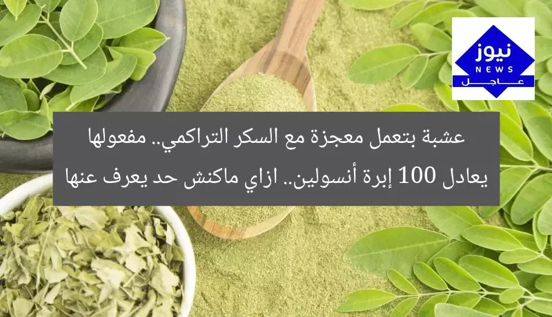 عشبة بتعمل معجزة مع السكر التراكمي.. مفعولها يعادل 100 إبرة أنسولين.. ازاي ماكنش حد يعرف عنها