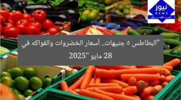 “البطاطس 5 جنيهات.. أسعار الخضروات والفواكه في 28 مايو 2025”