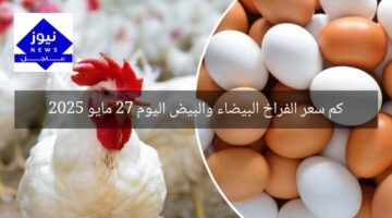 كم سعر الفراخ البيضاء والبيض اليوم 27 مايو 2025