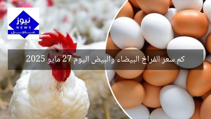 كم سعر الفراخ البيضاء والبيض اليوم 27 مايو 2025