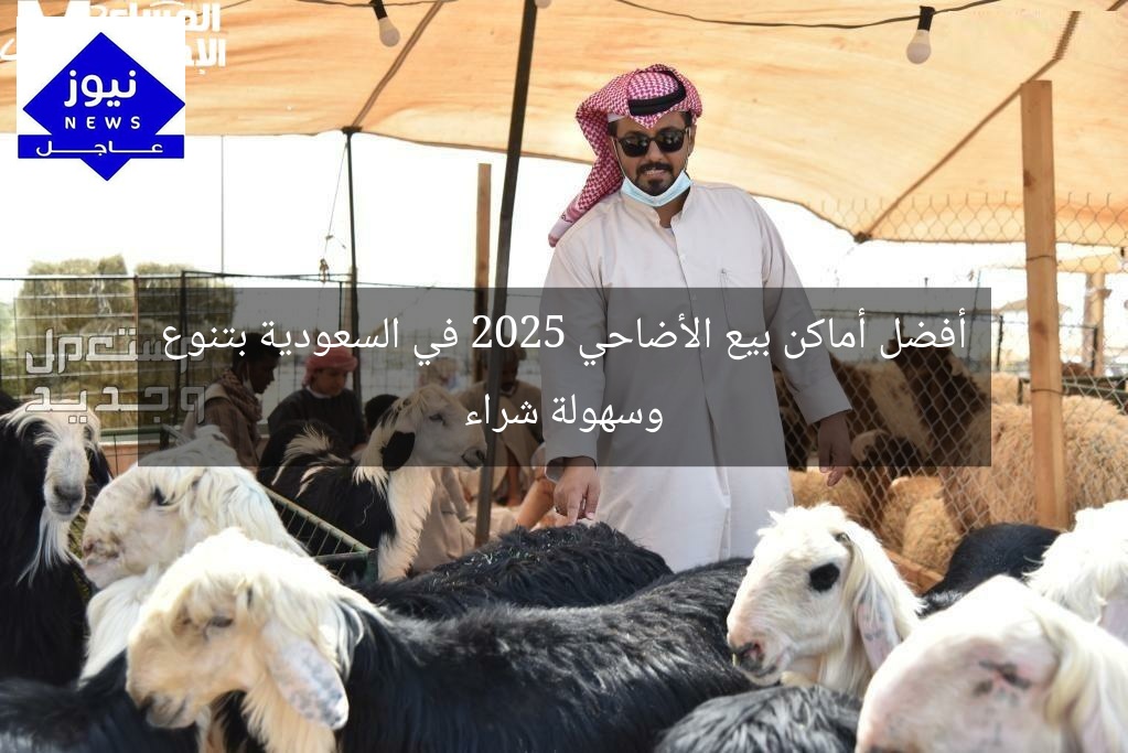أفضل أماكن بيع الأضاحي 2025 في السعودية بتنوع وسهولة شراء