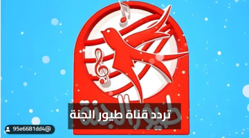 «أفضل اختيار» تردد قناة طيور الجنة 2025 وكيفية ضبطها بسهولة وبجودة عالية