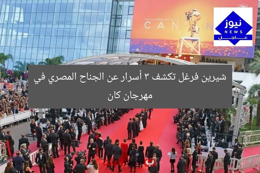 شيرين فرغل تكشف 3 أسرار عن الجناح المصري في مهرجان كان