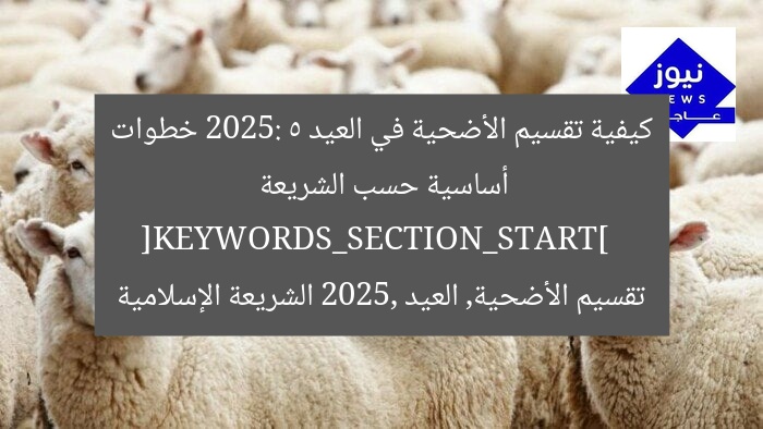 كيفية تقسيم الأضحية في العيد 2025: 5 خطوات أساسية حسب الشريعة  
[KEYWORDS_SECTION_START]  
تقسيم الأضحية, العيد 2025, الشريعة الإسلامية