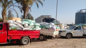 إمداد 261 ألف طن قمح لشون وصوامع البحيرة