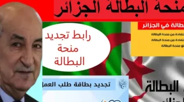جدد منحة البطالة الجزائر 2025 أونلاين: دليلك الشامل

منحة البطالة الجزائر 2025, تجديد منحة البطالة, منحة البطالة أونلاين