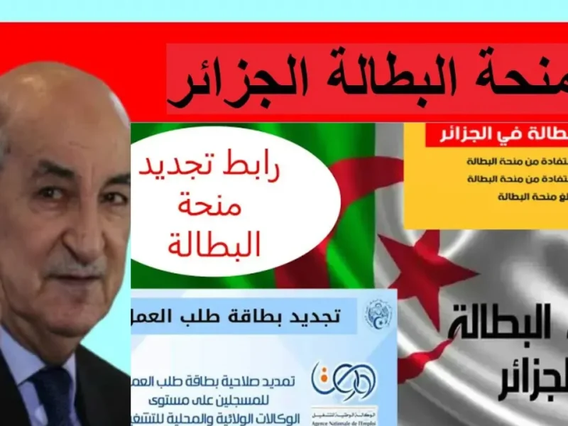 جدد منحة البطالة الجزائر 2025 أونلاين: دليلك الشامل
منحة البطالة الجزائر 2025, تجديد منحة البطالة, منحة البطالة أونلاين