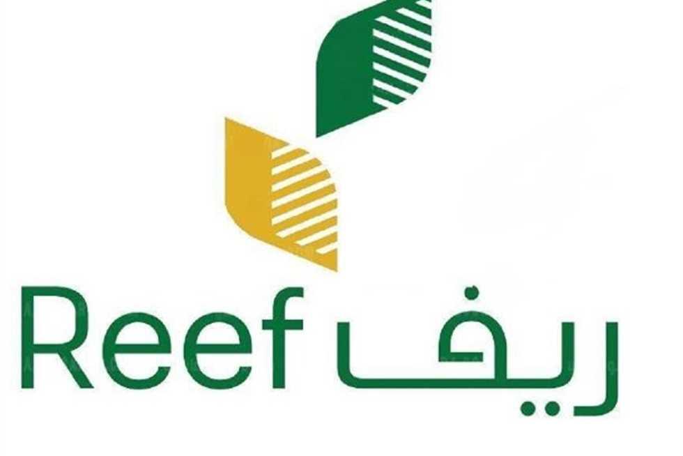 دعم ريف: ابدأ مشروعك البسيط بتمويل سهل وخطوات واضحة
دعم ريف, مشاريع بسيطة, تمويل المشاريع