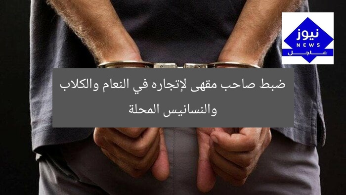ضبط صاحب مقهى لإتجاره في النعام والكلاب والنسانيس المحلة