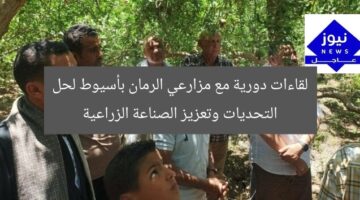 لقاءات دورية مع مزارعي الرمان في أسيوط لدعم الصناعة الزراعية  
مزارعي الرمان, أسيوط, الصناعة الزراعية