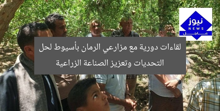 لقاءات دورية مع مزارعي الرمان في أسيوط لدعم الصناعة الزراعية
مزارعي الرمان, أسيوط, الصناعة الزراعية
