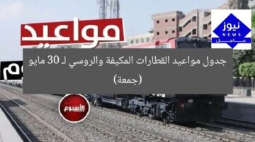 جدول مواعيد القطارات المكيفة والروسي لـ 30 مايو (جمعة)