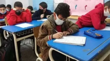 نتيجة الصف الثالث الابتدائي 2025 بالدقهلية: برقم الجلوس، خطوات سهلة ورابط مباشر