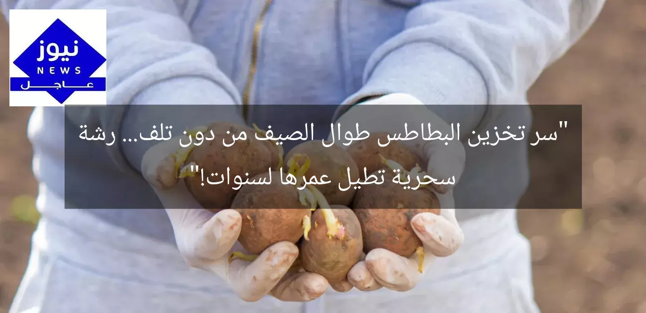 “سر تخزين البطاطس طوال الصيف من دون تلف… رشة سحرية تطيل عمرها لسنوات!”