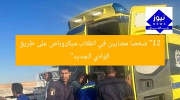 “12 شخصًا مصابين في انقلاب ميكروباص على طريق الوادي الجديد”