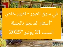 “أسعار المانجو بالجملة في سوق العبور – تقرير خاص السبت 21 يونيو 2025”