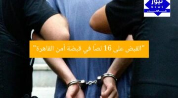 “القبض على 16 لصًا في قبضة أمن القاهرة”