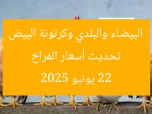 تحديث أسعار الفراخ البيضاء والبلدي وكرتونة البيض 22 يونيو 2025