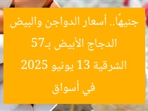الدجاج الأبيض بـ75 جنيهًا.. أسعار الدواجن والبيض في أسواق الشرقية 13 يونيو 2025