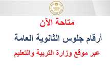 استعلم الآن.. رقم جلوس الثانوية العامة 2025 وبيانات اللجنة عبر الحساب المدرسي الموحد